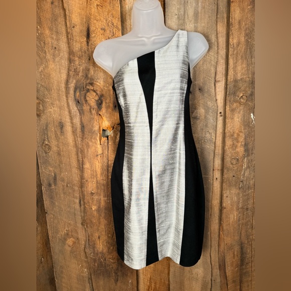 Rag & Bone Silver/Black Silk Dupioni One Shoulder Dress - Size 2 - Picture 4 of 15